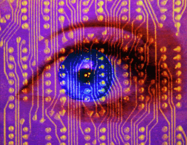 Vision Poster featuring the photograph Computer Graphics: Human Eye & Circuit Board by Mehau Kulyk/science Photo Library