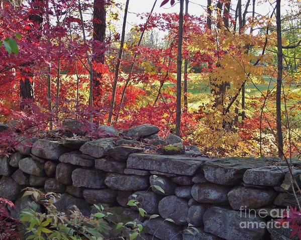 Landscape Poster featuring the photograph Connecticut Stone Walls by Michelle Welles