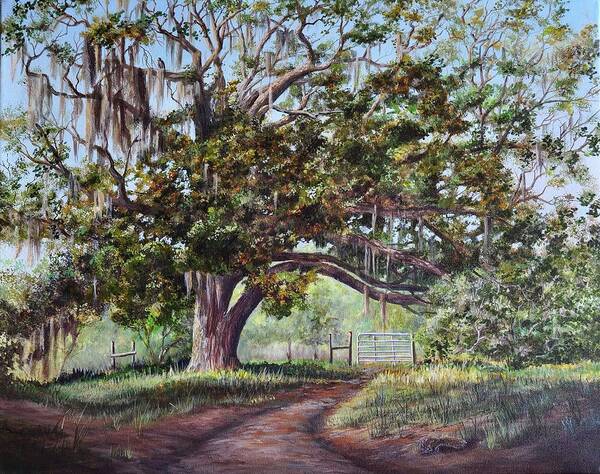 Live Oak Tree Poster featuring the painting Cop's Tree by AnnaJo Vahle