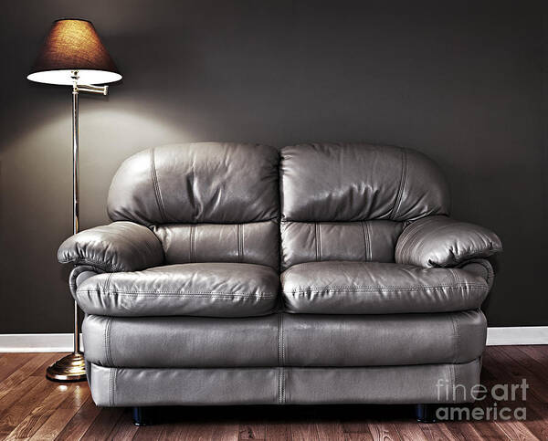 Sofa Poster featuring the photograph Couch and lamp by Elena Elisseeva
