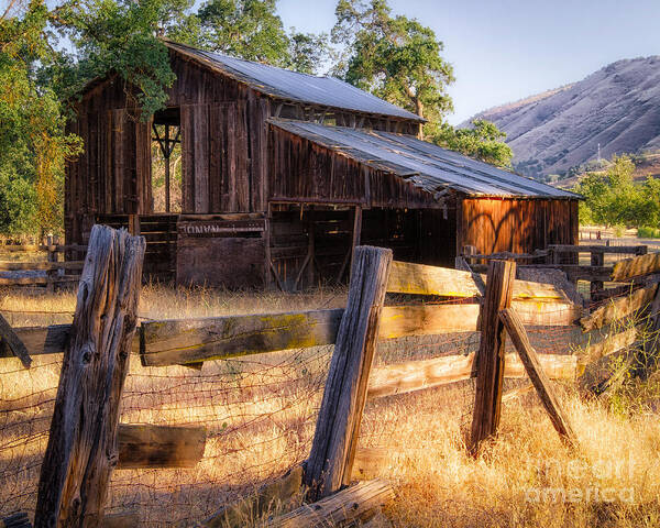 Americano Poster featuring the photograph Country in the Foothills by Anthony Michael Bonafede