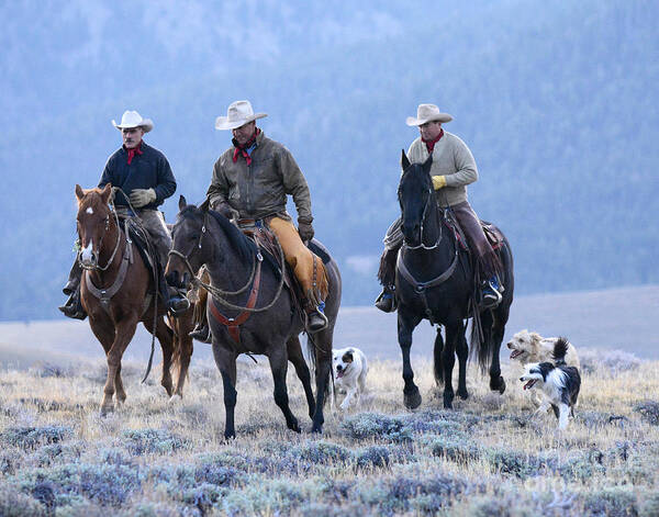 People Poster featuring the photograph Cowboy Outriders by Dennis Hammer