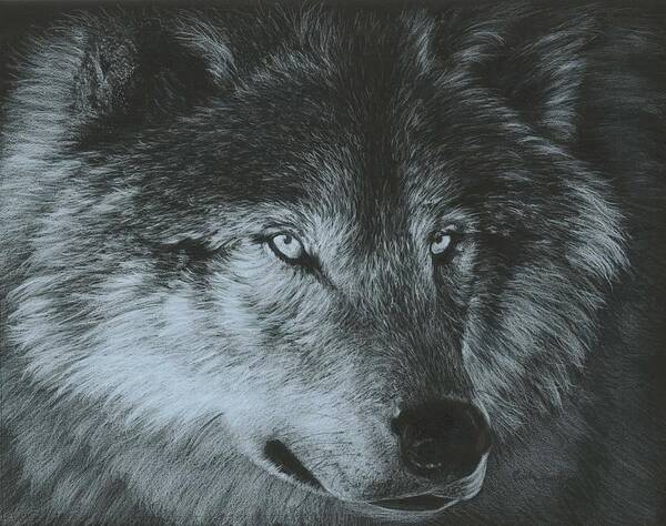 Black Poster featuring the painting Dark Wolf by Carla Kurt