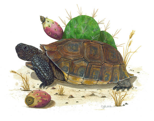 Desert Tortoise Poster featuring the painting Desert Tortoise by Cindy Hitchcock