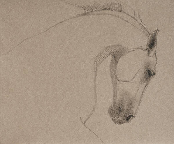 Horses Poster featuring the drawing Determination - Grey Version by Jani Freimann