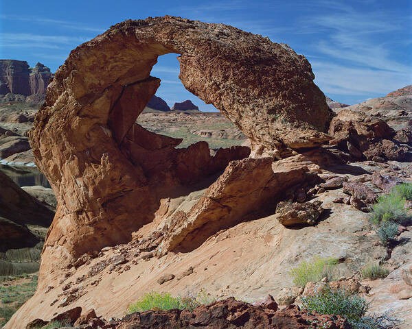 Arizona Poster featuring the photograph Diagenetic Arch-H by Tom Daniel