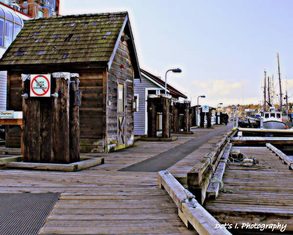 Main Dock Poster featuring the photograph Dock Walk by Dorothy Hilde