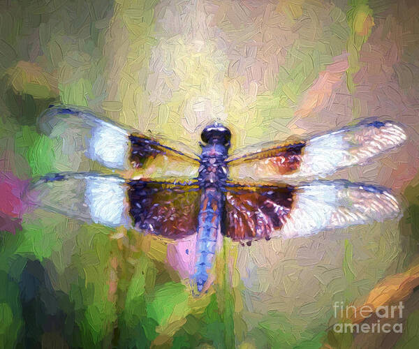 Insect Poster featuring the photograph Dragon Wings by Kerri Farley