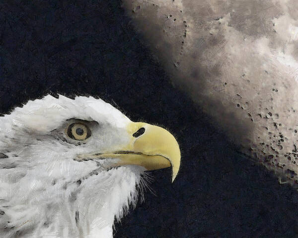 Bald Eagles Poster featuring the digital art Eagle and Moon Painterly by Ernest Echols