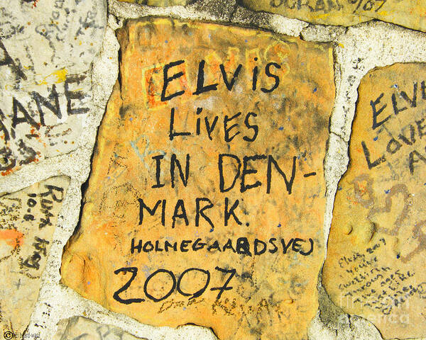Elvis Poster featuring the photograph Elvis Lives in Denmark by Lizi Beard-Ward