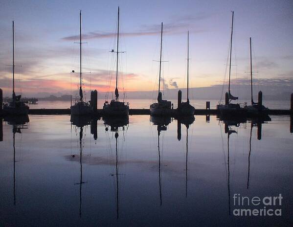 Sailboats Poster featuring the photograph Eureka Harbor at Sunset by Laura Wong-Rose