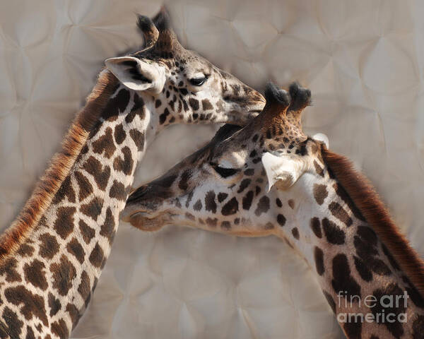 Love Poster featuring the photograph Faux Giraffes by Josephine Cohn