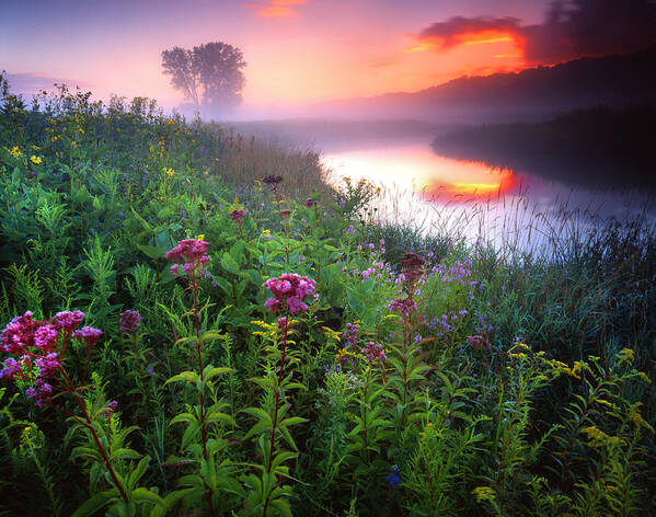 Sunset Poster featuring the photograph Garden on the Creek by Ray Mathis