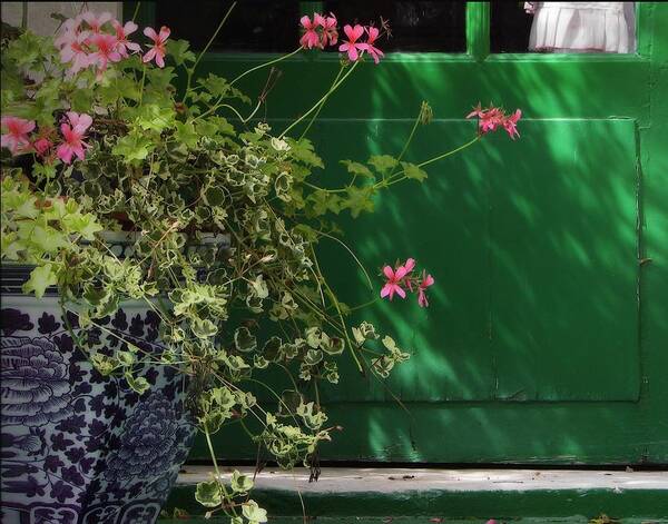 Geraniums Poster featuring the photograph Geraniums and Green Door by Nikolyn McDonald