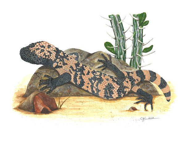 Gila Monster Poster featuring the painting Gila monster by Cindy Hitchcock