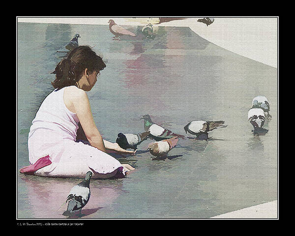 Mystery Poster featuring the photograph Girl feeding pigeons by Pedro L Gili