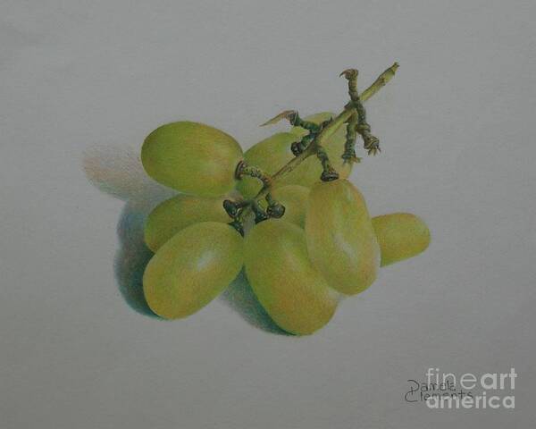 Grapes Poster featuring the painting Green Grapes by Pamela Clements