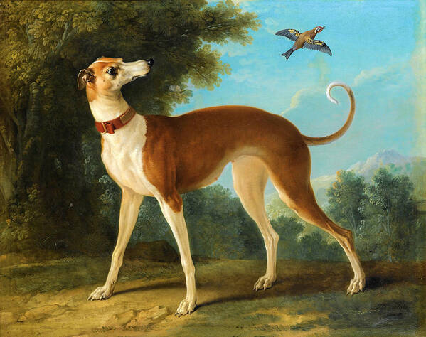 Jean-baptiste Oudry Poster featuring the painting Greyhound in a landscape by Jean-Baptiste Oudry