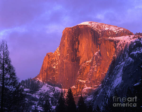 Yosemite Poster featuring the photograph Half Dome Alpen Glow by Jim And Emily Bush