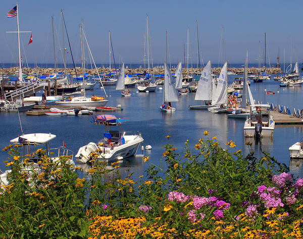 New England Poster featuring the photograph Harbor in Bloom by Caroline Stella