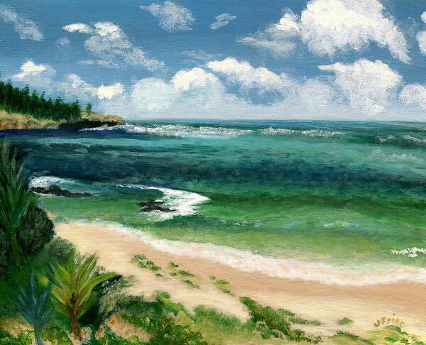 Hawaii Poster featuring the painting Hawaii Beach by Jamie Frier