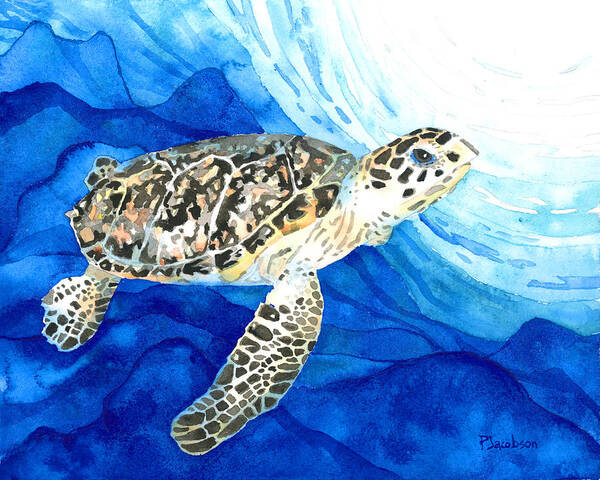 Turtle Poster featuring the painting Hawksbill Sea Turtle 2 by Pauline Walsh Jacobson
