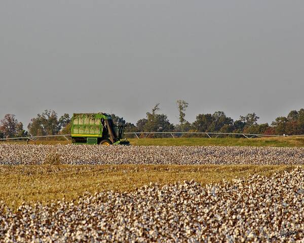 Ag Poster featuring the photograph Here Comes Deere by David Zarecor