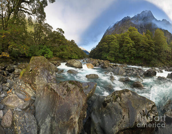 00463431 Poster featuring the photograph Hollyford River Fjordland NP by Yva Momatiuk John Eastcott