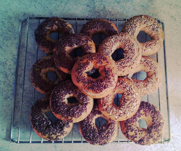 Flax Seed Poster featuring the photograph Homemade Bagels by Lasse Kristensen