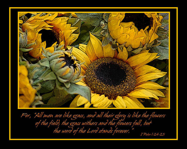 Sunflowers Poster featuring the photograph Inspirational Sunflowers by Carolyn Marshall