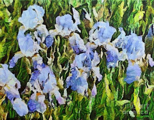 Floral Poster featuring the digital art Irises by Dragica Micki Fortuna