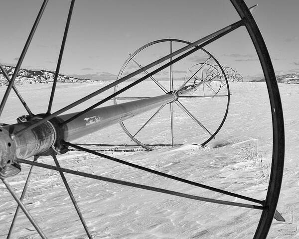 Farm Prints Poster featuring the photograph Irrigation Pipe In Winter by Theresa Tahara