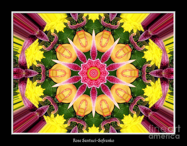 Lily Poster featuring the photograph Lily and Chrysanthemums flower Kaleidoscope by Rose Santuci-Sofranko