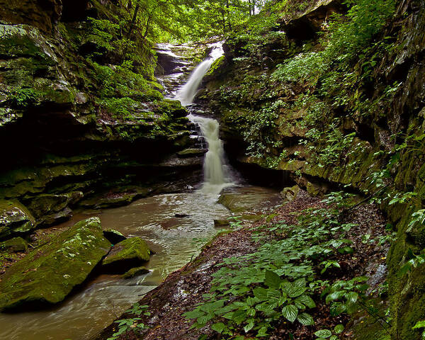 Waterfall Poster featuring the photograph Little Bloody Creek by Ulrich Burkhalter