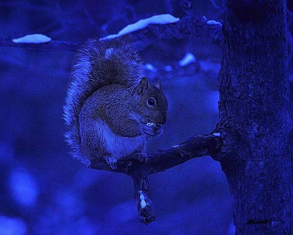 Winter Poster featuring the photograph Midwinter Snack by Dennis Lundell