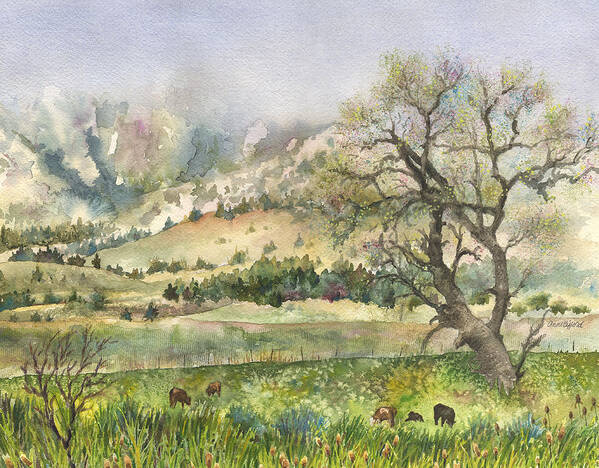 Flatirons Painting Poster featuring the painting Misty Flatirons by Anne Gifford