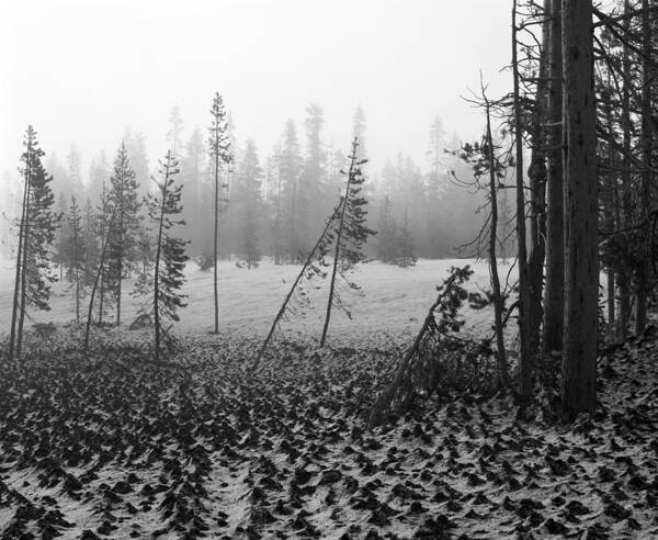 Oregon Poster featuring the photograph Mt Bachelor Road by Tom Daniel