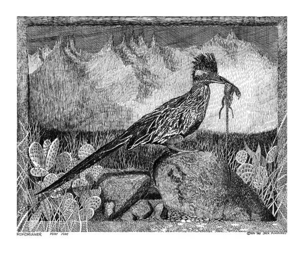 A Jack Pumphrey Pen & Ink Drawing Of Hungry Roadrunner Poster featuring the drawing Roadrunner beep beep beep by Jack Pumphrey