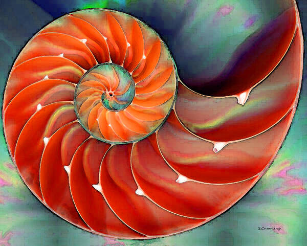 Nautilus Shell Poster featuring the painting Nautilus Shell Art - Nature's Perfection 2 - By Sharon Cummings by Sharon Cummings