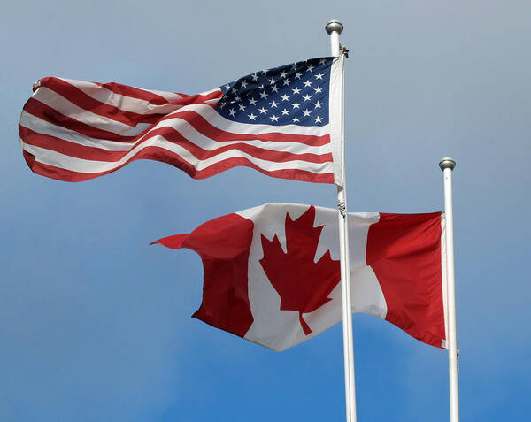 Flags Poster featuring the photograph Neighbors by Barbara McDevitt