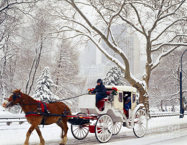 Usa Poster featuring the photograph New York Hansom Cab by Rafael Macia