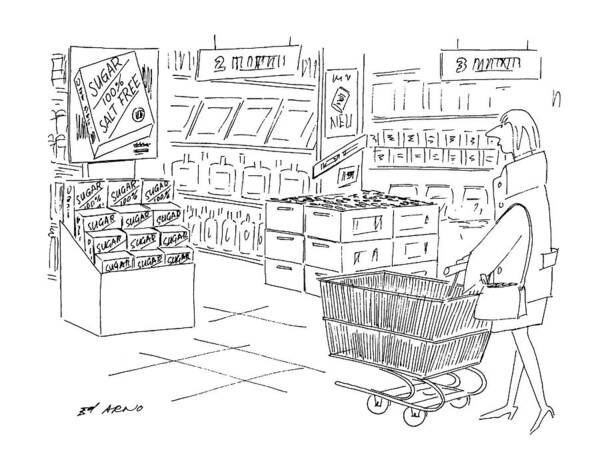 Consumerism Poster featuring the drawing New Yorker June 15th, 1992 by Ed Arno