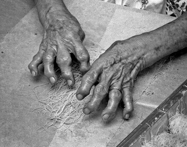 Hands Poster featuring the photograph Noodle Maker by Jim Painter