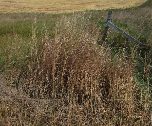 Prairie Poster featuring the photograph Old Fence Line by Donald S Hall