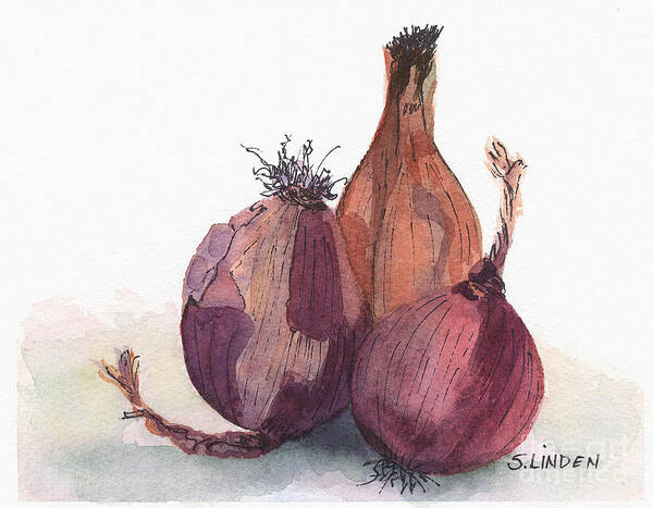 Vegetable Poster featuring the painting Onions by Sandy Linden