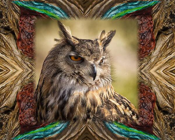 Owl Poster featuring the photograph Owl with Collage Border by Janis Knight