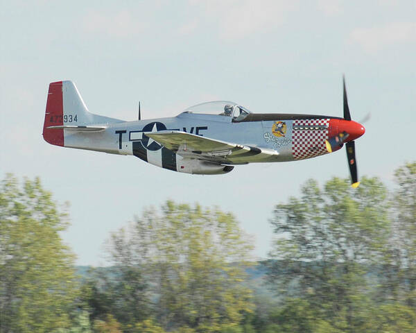 P-51 Mustang Poster featuring the photograph P-51D Mustang Shangrila by Alan Toepfer