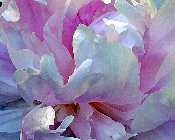 Floral Poster featuring the photograph Painted Peony by Jodie Marie Anne Richardson Traugott     aka jm-ART