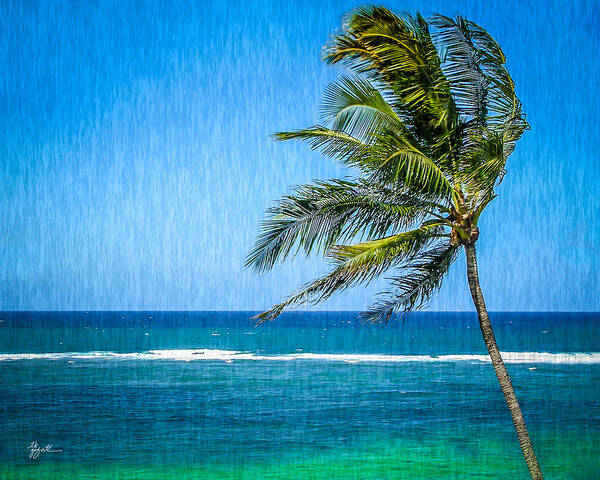 Palm Trees Poster featuring the photograph Palm Tree Swaying by TK Goforth