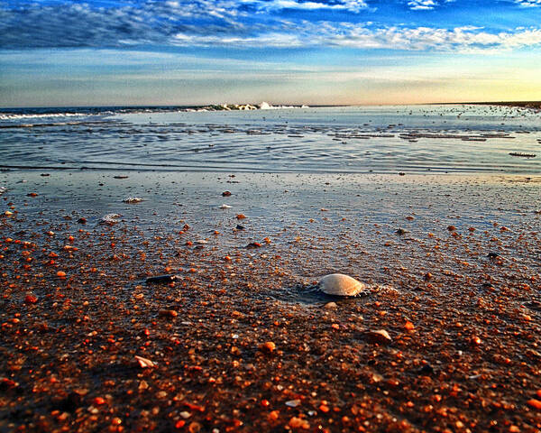 Pebble Beach Poster featuring the photograph Pebble Beach at Fenwick Island by Bill Swartwout